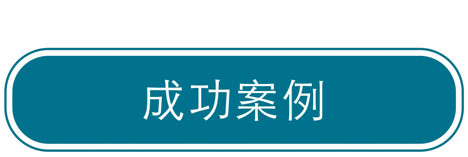 成功案例